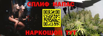 хмурый Моздок