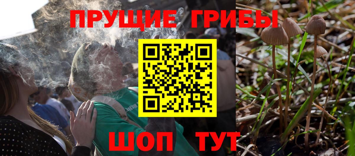 Галлюциногенные грибы ЛСД  Вход с VPN  закладка  Тихвин 